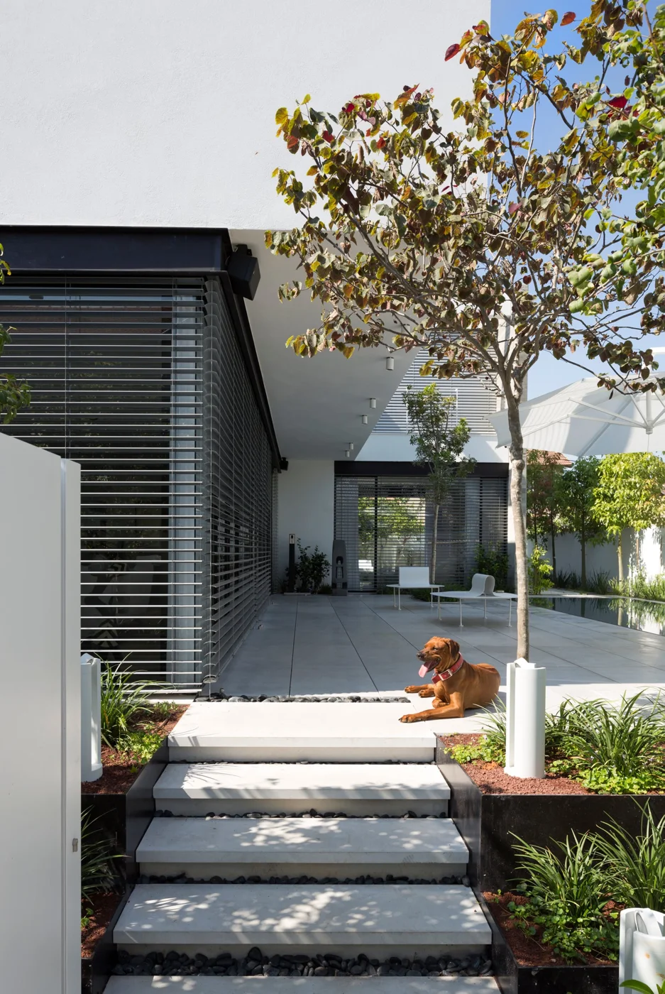 Exterior Louvers, Villa